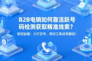 B2B电销如何靠活跃号码检测获取精准线索？销冠秘籍：少打空号、用对工具成单翻倍！