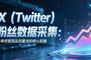 X（Twitter）粉丝数据采集：精准挖掘竞品流量池的核心武器